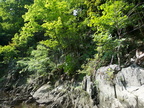 NBBRIdge 2 9